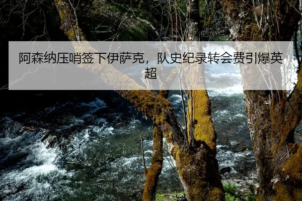阿森纳压哨签下伊萨克，队史纪录转会费引爆英超