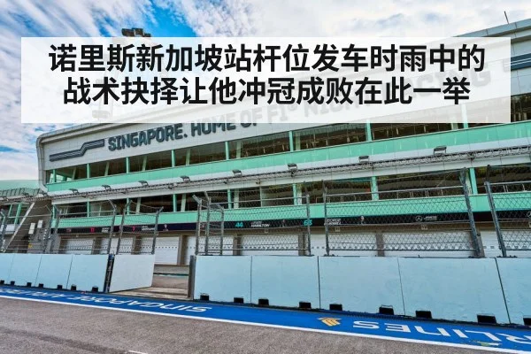 诺里斯新加坡站杆位发车时雨中的战术抉择让他冲冠成败在此一举